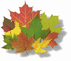 Fall Handpiece Specials
